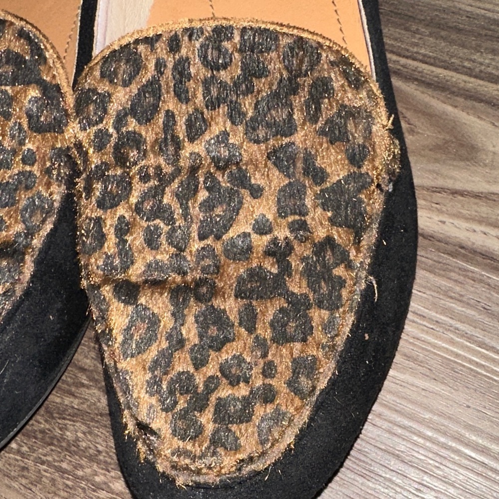 BareTraps Women's Leopard Flats - Black and Brown - Picture 2 of 8